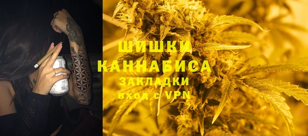 амф Новодвинск