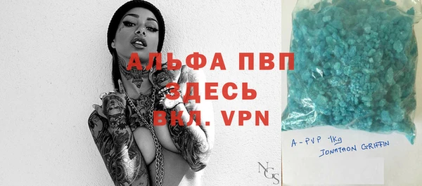 амф Новодвинск