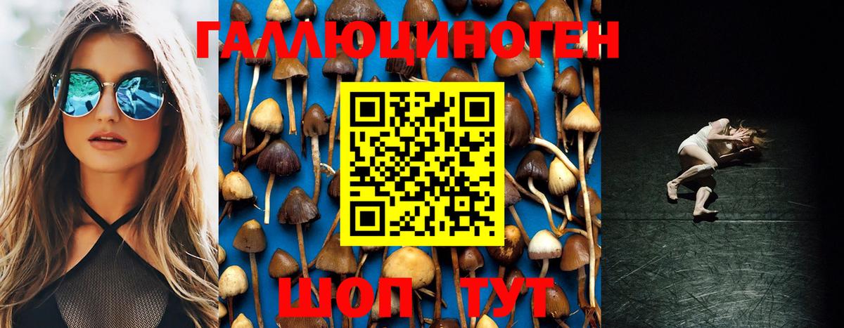 Бошки Шишки  Марки  APVP  МЕФ  Вход с VPN  Гашиш  Сатка  Меф  COCAIN  Плюхи 