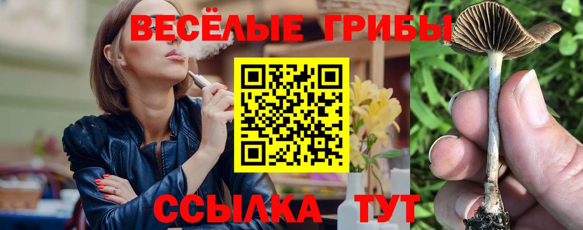 где можно купить   Вход с VPN  Сатка  Псилоцибиновые грибы ЛСД 