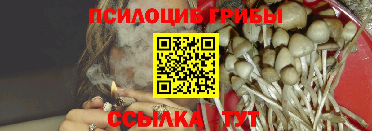 Галлюциногенные грибы мицелий Сатка