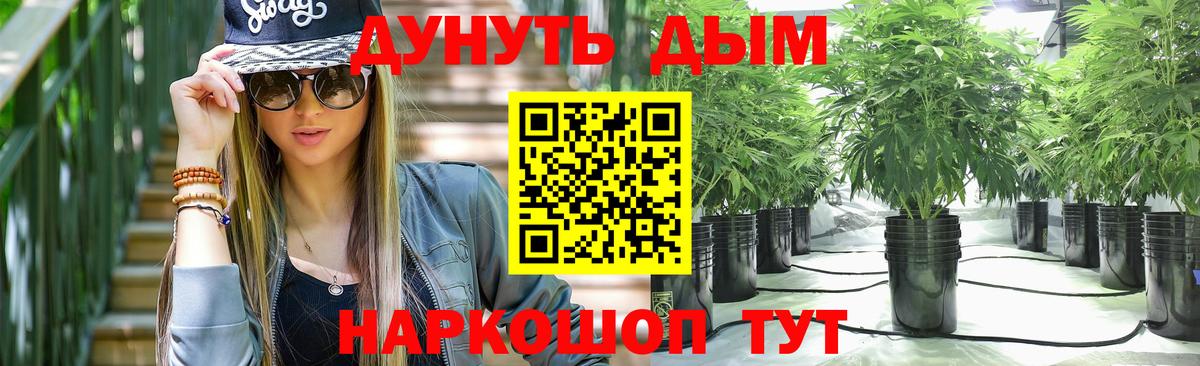 Каннабис Bruce Banner  Каннабис VHQ  Вход с VPN  Сатка 